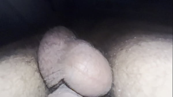 PosteDOakFoxxyV – update #9 – IMG 3453 – Oct 08, 2024